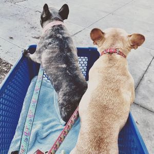 Meet your Posher, Ariane