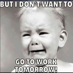 Meet your Posher, Kristi