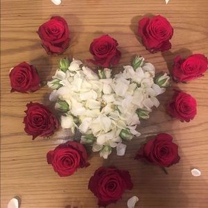 Meet your Posher, Bree