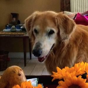 Meet your Posher, Wendy