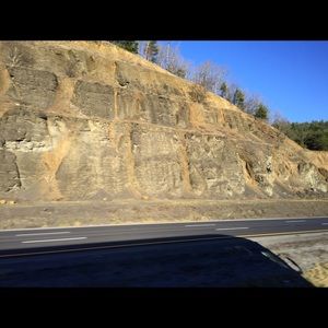 Meet your Posher, Rosa