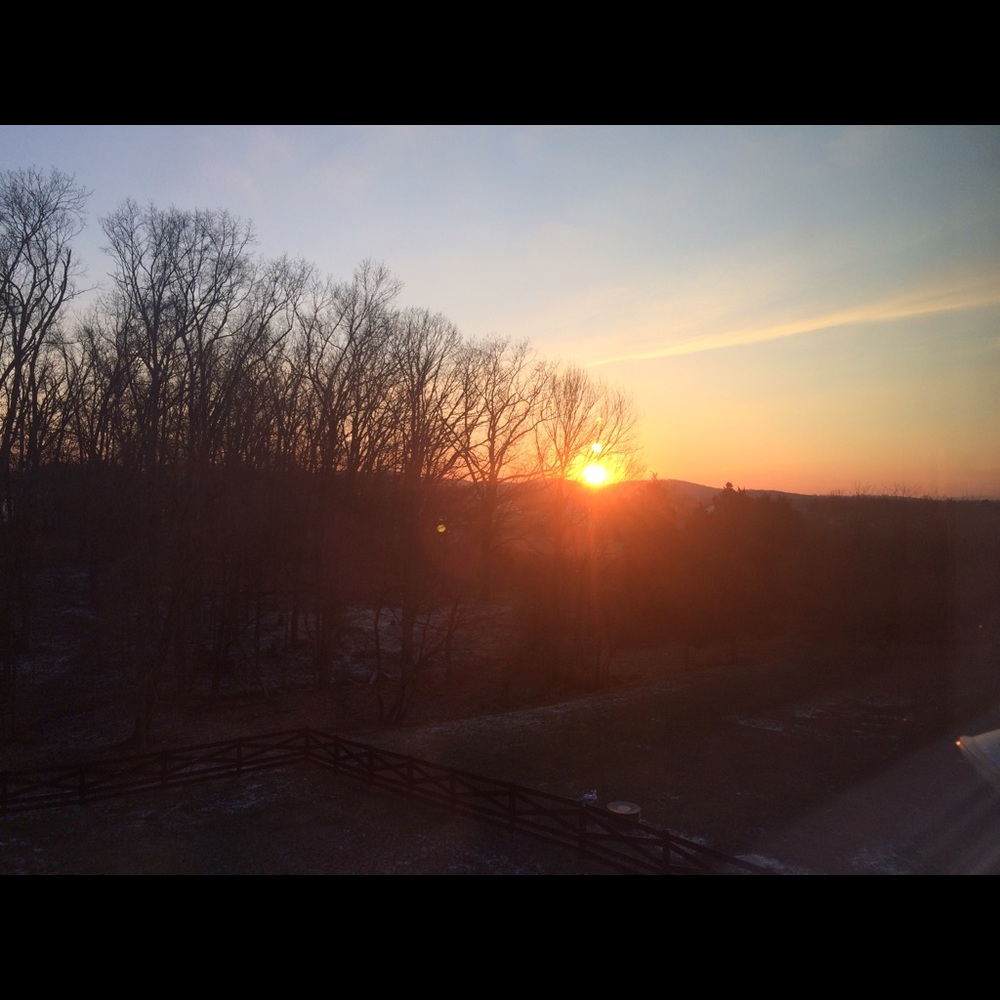 Meet your Posher, Caitlin