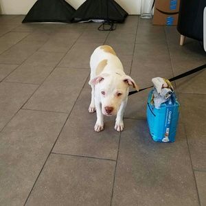 Meet your Posher, Keith