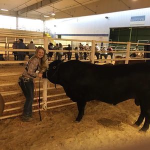 Meet your Posher, Marion