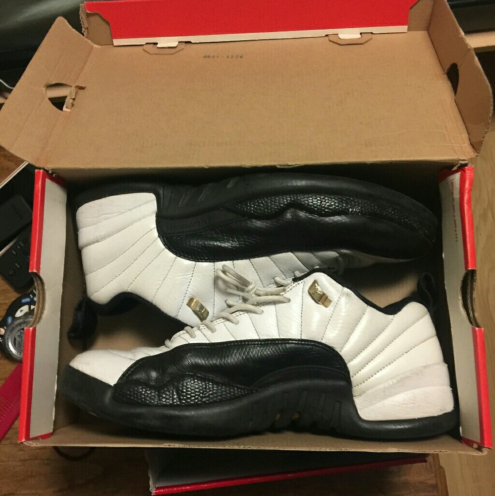 Air Jordan 12s
