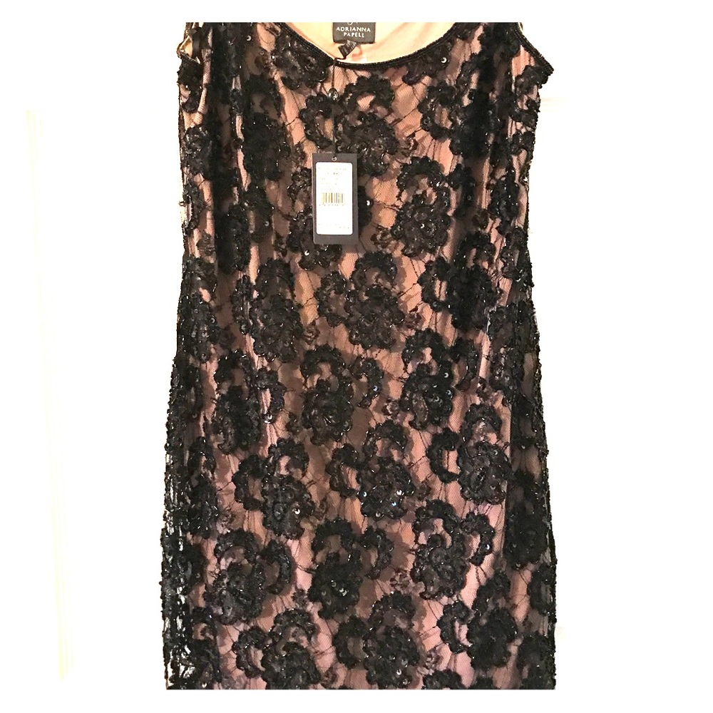 Adrianna papell sleeveless beaded cocktail dress.
