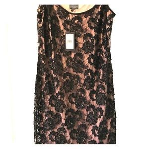 Adrianna papell sleeveless beaded cocktail dress.