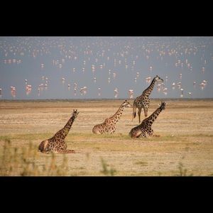 Meet your Posher, Bethany