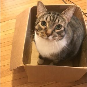 Meet your Posher, Allyssa