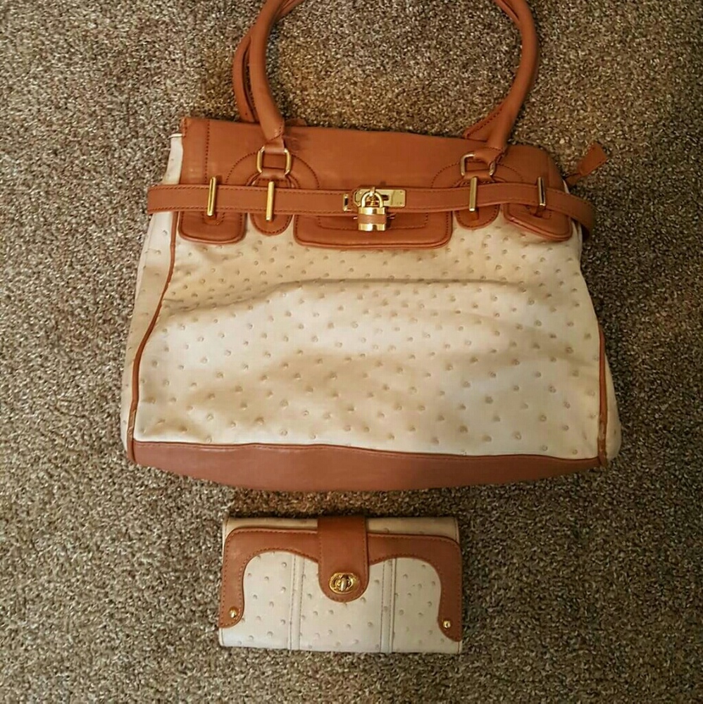 Aldo handbag and wallet