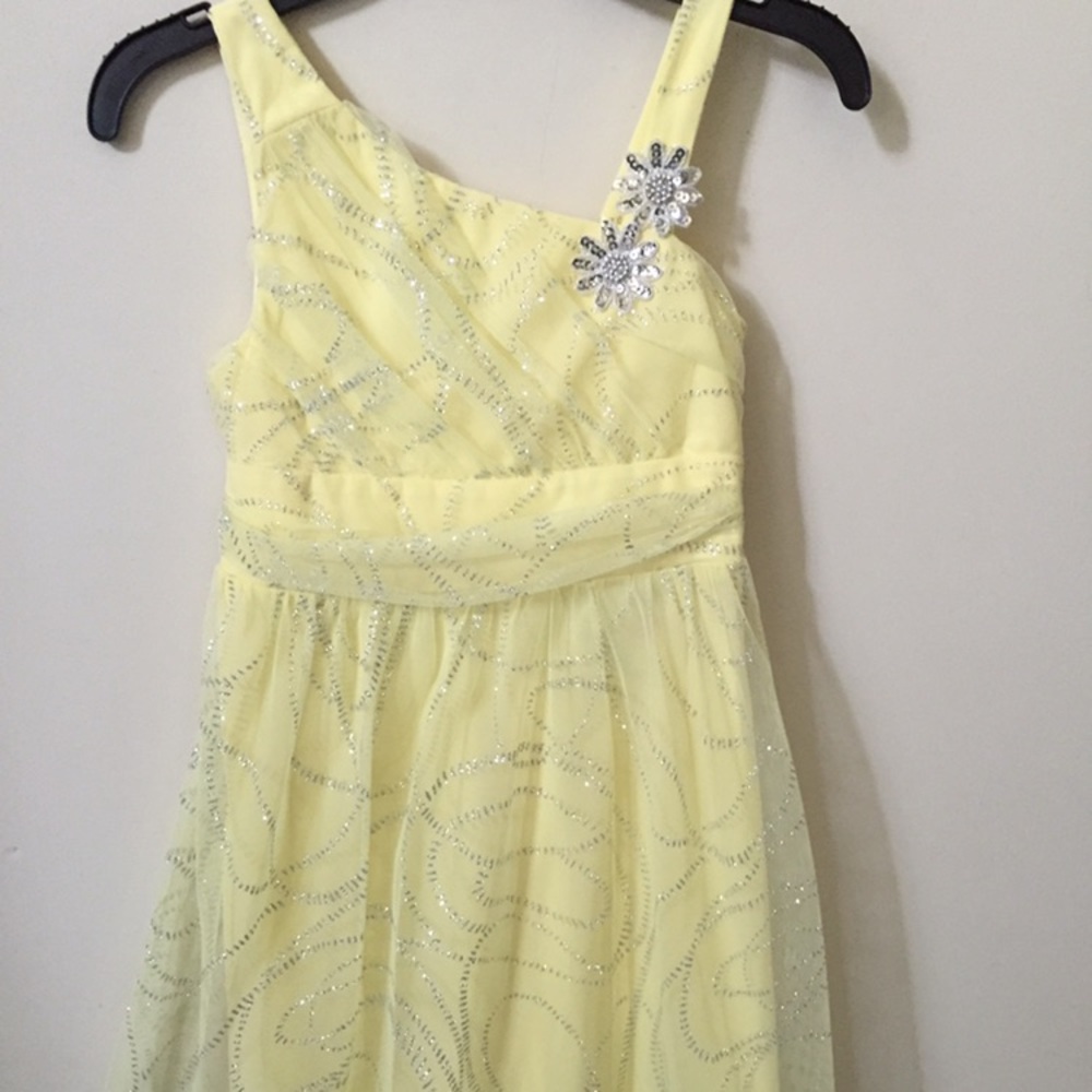 Girls Dress Sparkle Net Dress