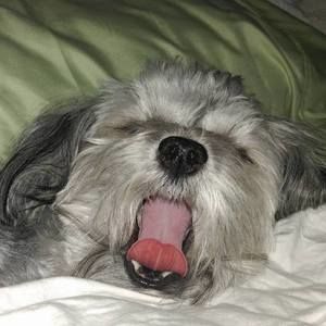 Meet your Posher, Roberta