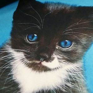 Meet your Posher, Daisy