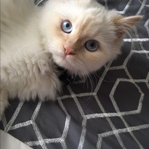 Meet your Posher, Stacey