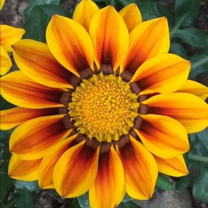 Meet your Posher, Claire