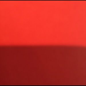 Meet your Posher, Lynn