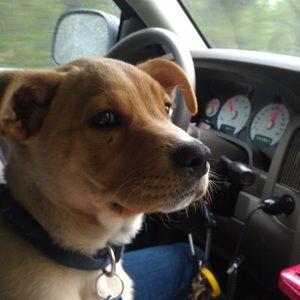 Meet your Posher, Caitlyn