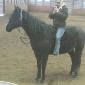 Meet your Posher, Hailey