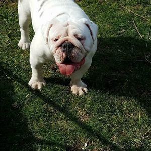 Meet your Posher, Maggie