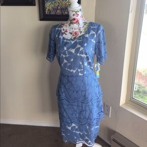 NWT Antonio Melani Lace Sheath Dress- 6