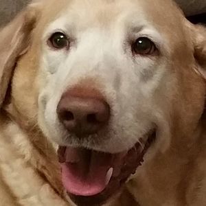 Meet your Posher, Julie