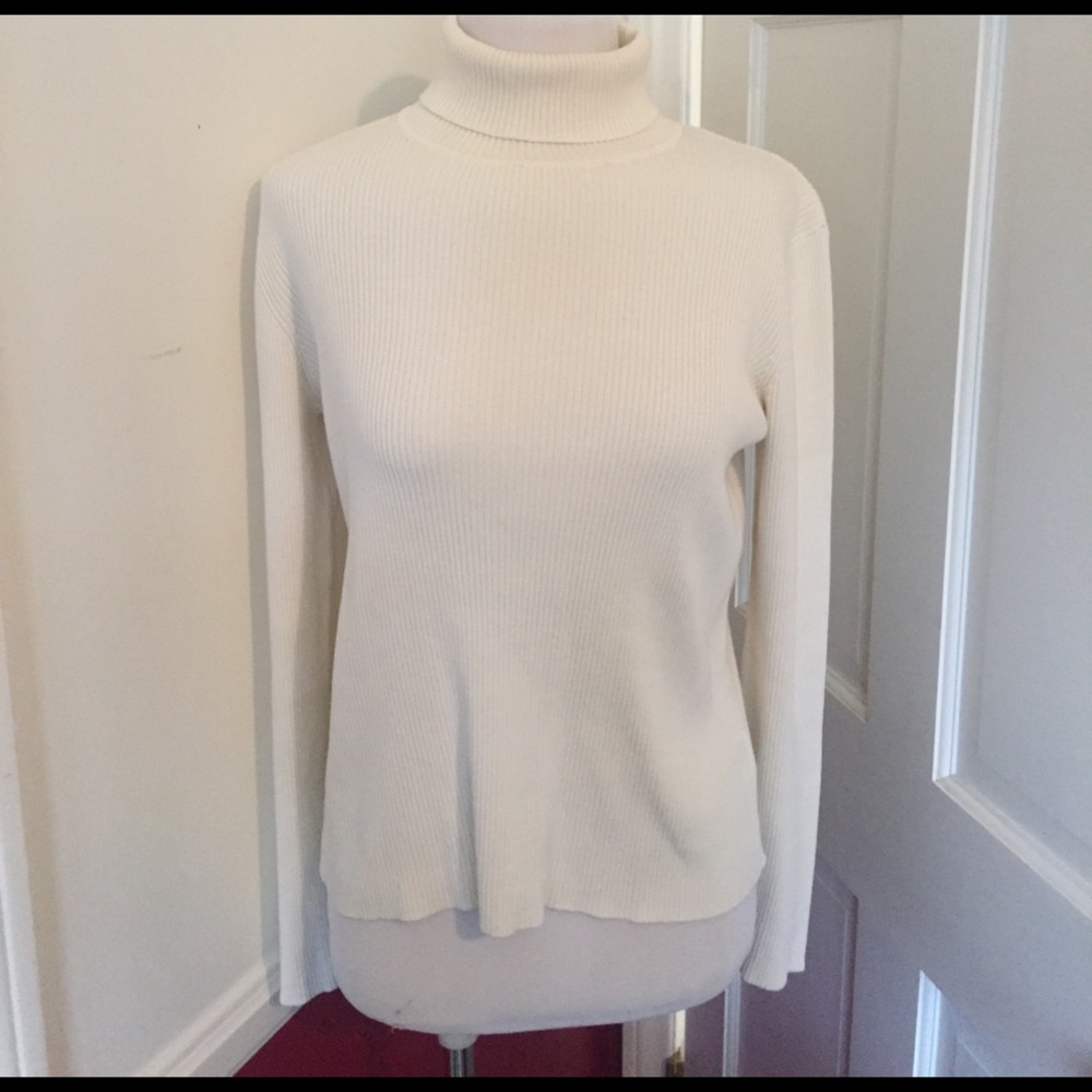 Basic ribbed turtleneck