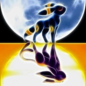 Meet your Posher, Alanna