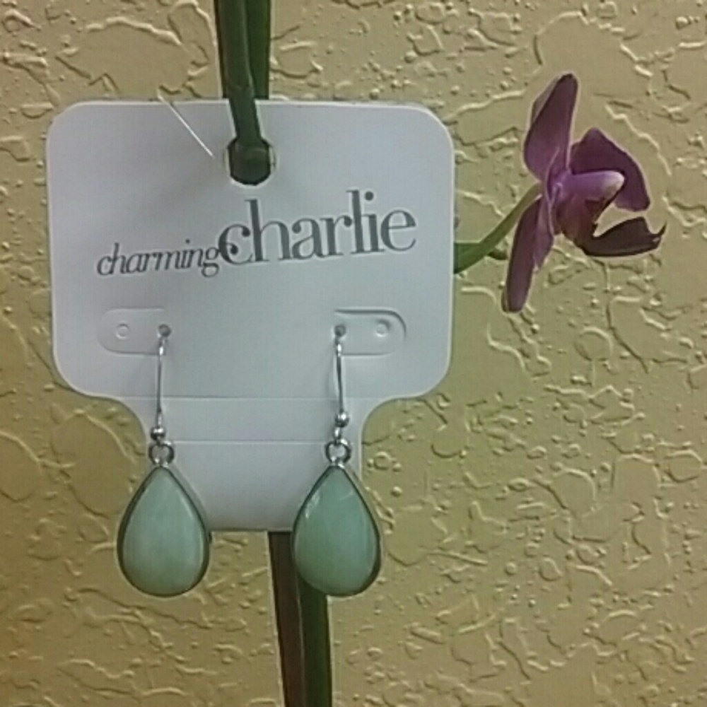 Charming Charlie Earrings