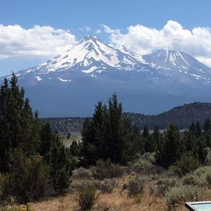 Meet your Posher, Benita