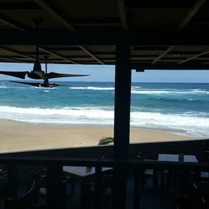 Meet your Posher, Zaida