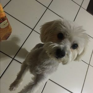 Meet your Posher, Mario