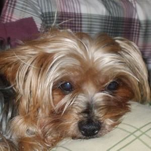 Meet your Posher, Patricia