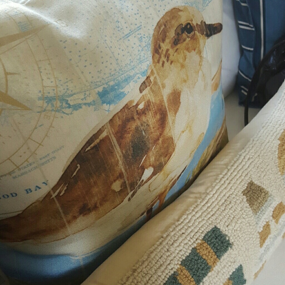 Meet your Posher, Sheil