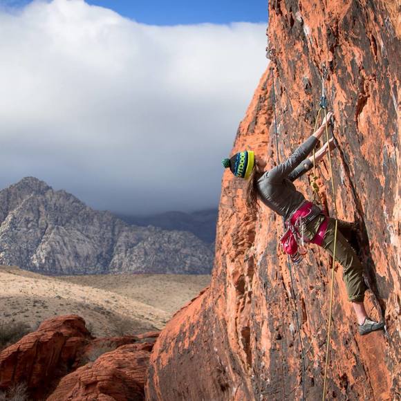 Meet your Posher, Arielle - Picture 1 of 1