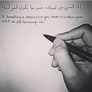 Meet your Posher, Naveen