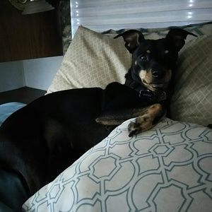 Meet your Posher, Aimee