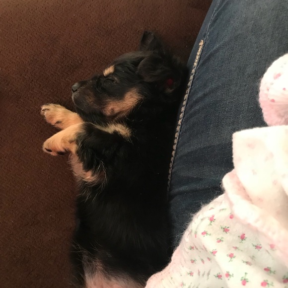 Meet your Posher, Ashley - Picture 3 of 5