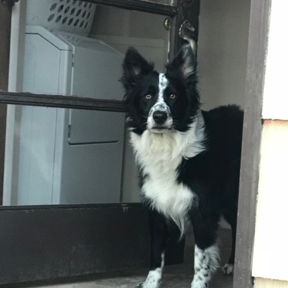 Meet your Posher, Ashley - Picture 5 of 5