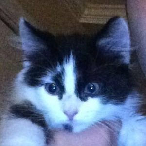 Meet your Posher, Eric