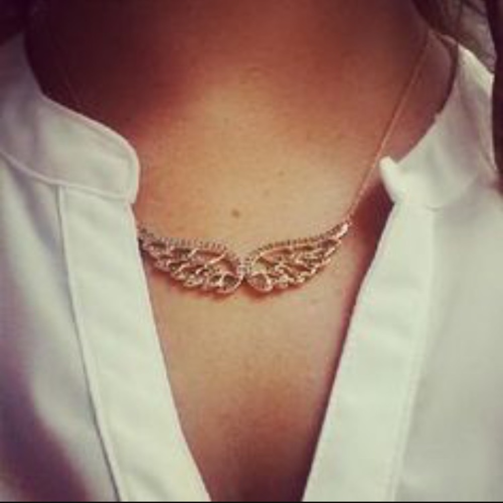 Stella & dot angel wing necklace.