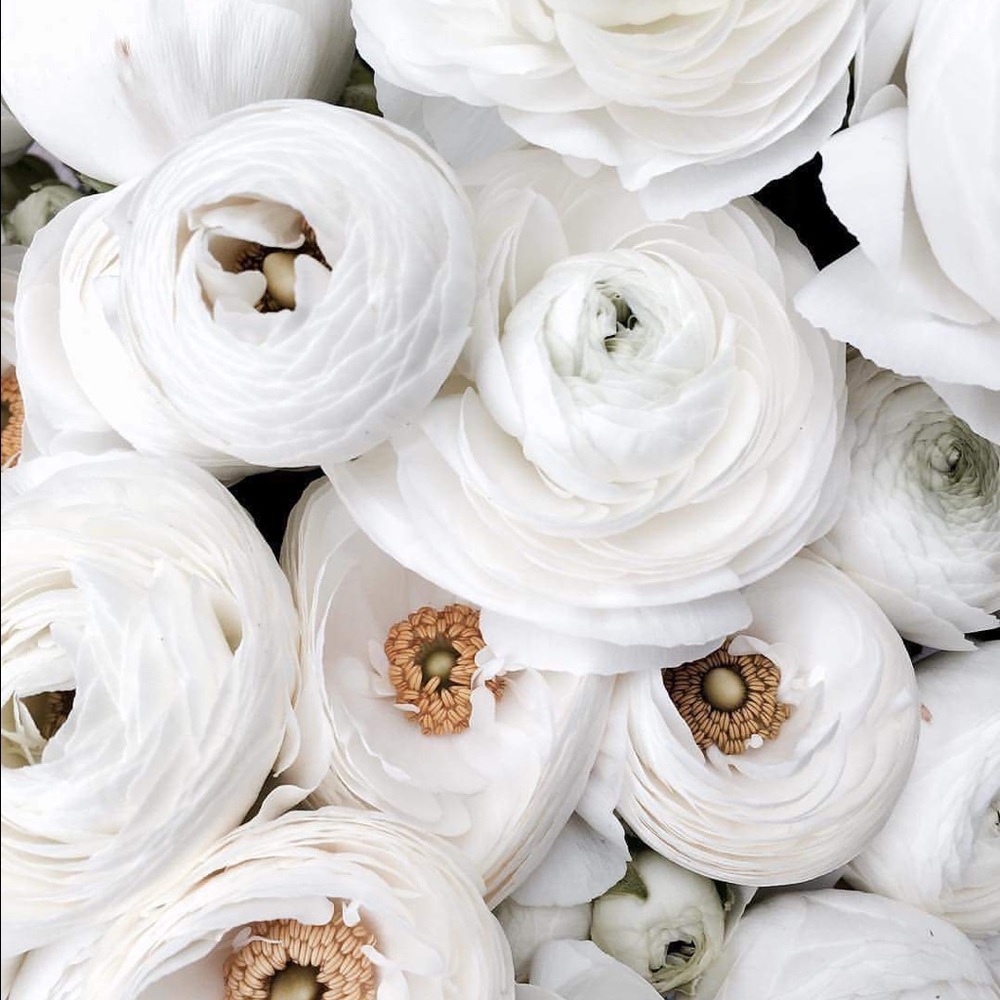 Meet your Posher, Kelli