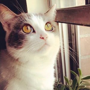 Meet your Posher, Addie