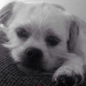 Meet your Posher, Jenny