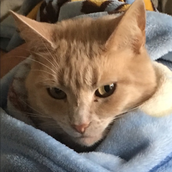 Meet your Posher, Justin - Picture 1 of 1