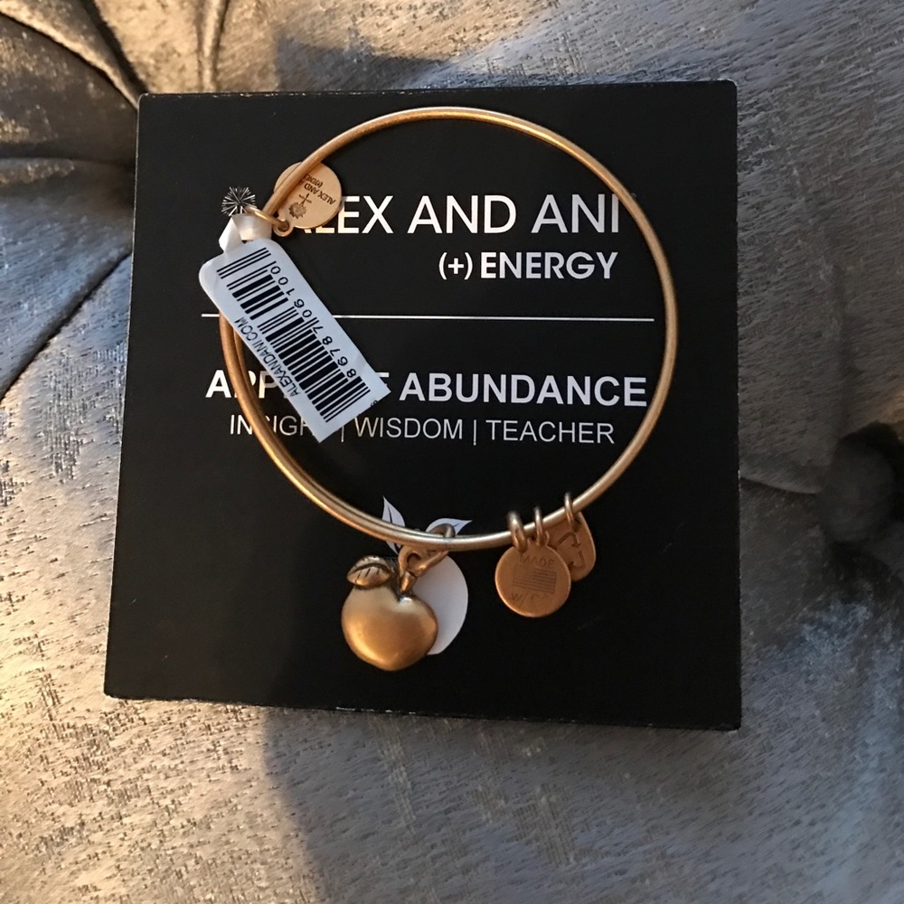 Alex and Ani Bracelet