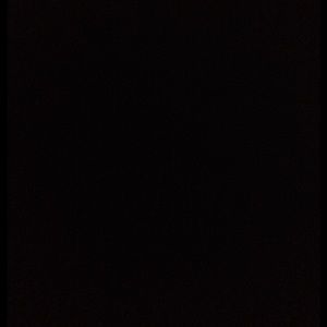 Meet your Posher, Lashone