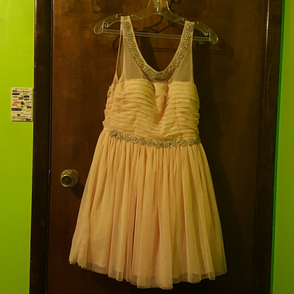 Homecoming/winter carnival dress