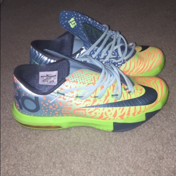 Kd 6 ligers