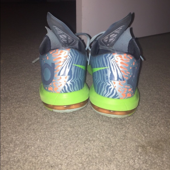 Kd 6 ligers main image 4