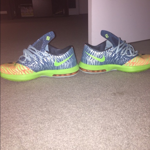 Kd 6 ligers main image 2